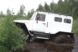 СТМ-39931 Россети