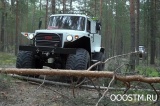 СТМ-39931 Россети
