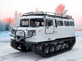СТМ-1993.21 — Пассажирский, 10 мест, 2 спальных