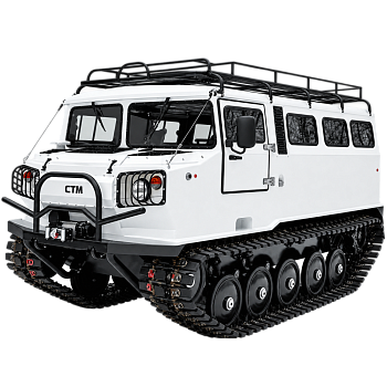 СТМ-1993.21 — Пассажирский, 10 мест, 2 спальных