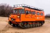 СТМ-1993.52 Россети